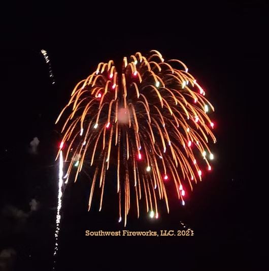 Large gold willow fireworks shell with long drooping trails dotted with red and green pistil stars against a black night sky
