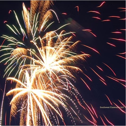 Bright gold and green palm shell fireworks with red trailing sparks filling the night sky